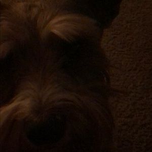 Meet your Posher, Ron